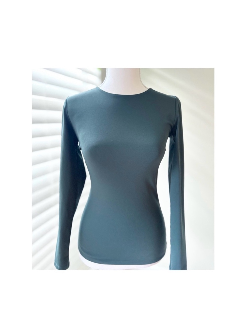 Aritzia Contour Long Sleeve Crewneck Top - Teal Green